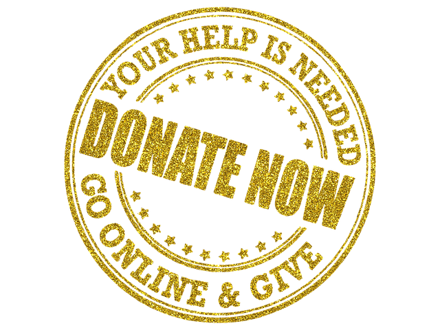 nonprofit advertising donate now button